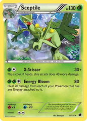Sceptile 008 [Plasma Freeze]  - Holofoil